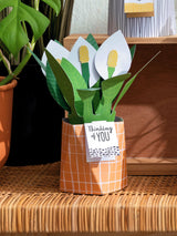 Next Hallmark Green Thinking of You Card 3D Pop Up Peace Lily Greeting Card- Buy online at McGrocer