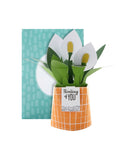 Hallmark Thinking of You card with 3D peace lily, UK version