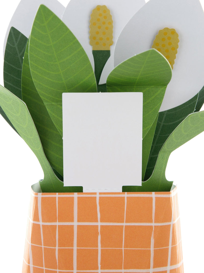 Hallmark Thinking of You card with 3D peace lily, UK version