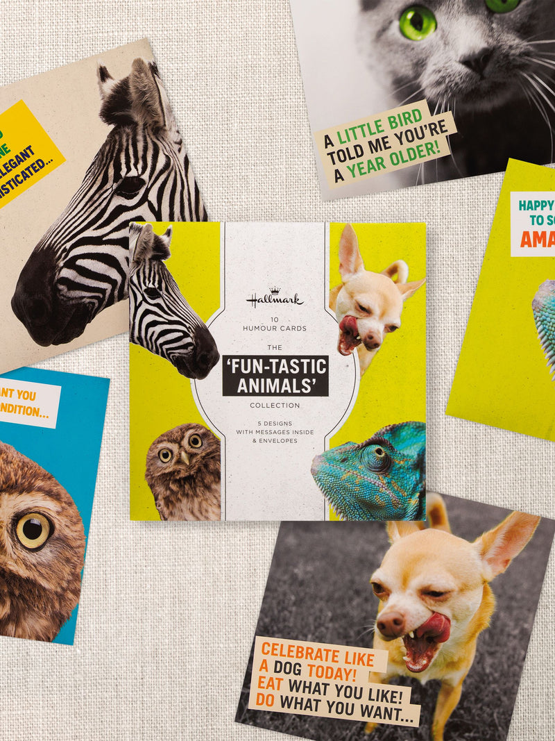 Hallmark Birthday Cards with 5 Funny Animal Designs 10 Pack, UK version