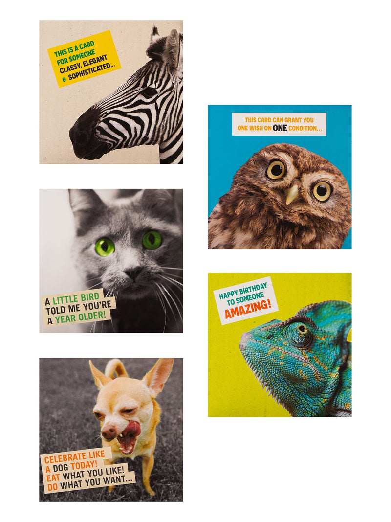 Hallmark Birthday Cards with 5 Funny Animal Designs 10 Pack, UK version
