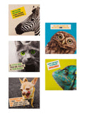 Hallmark Birthday Cards with 5 Funny Animal Designs 10 Pack, UK version