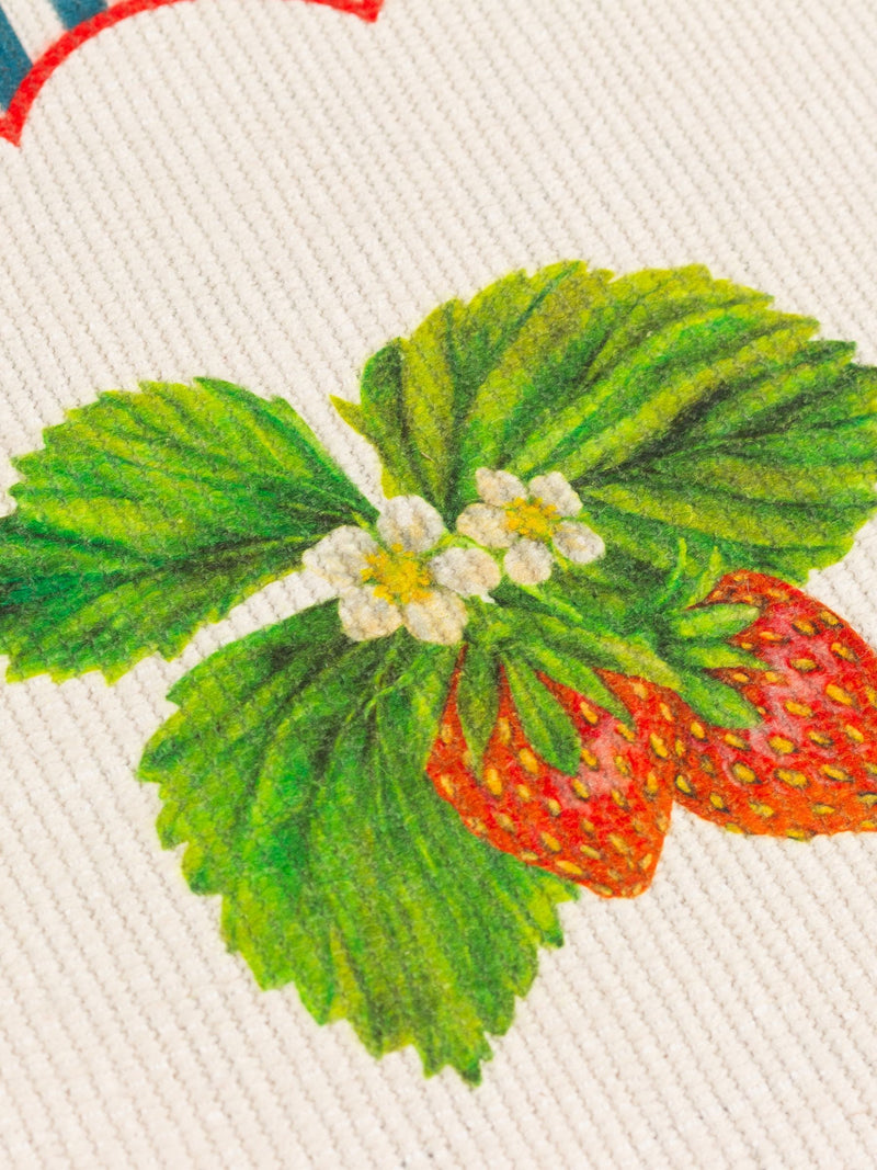 Wylder Blue Strawberry Stripes placemats 46x36cm set of 4 (British brand)