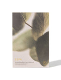 Nourishing Body Care Collection body care set with eucalyptus - British product