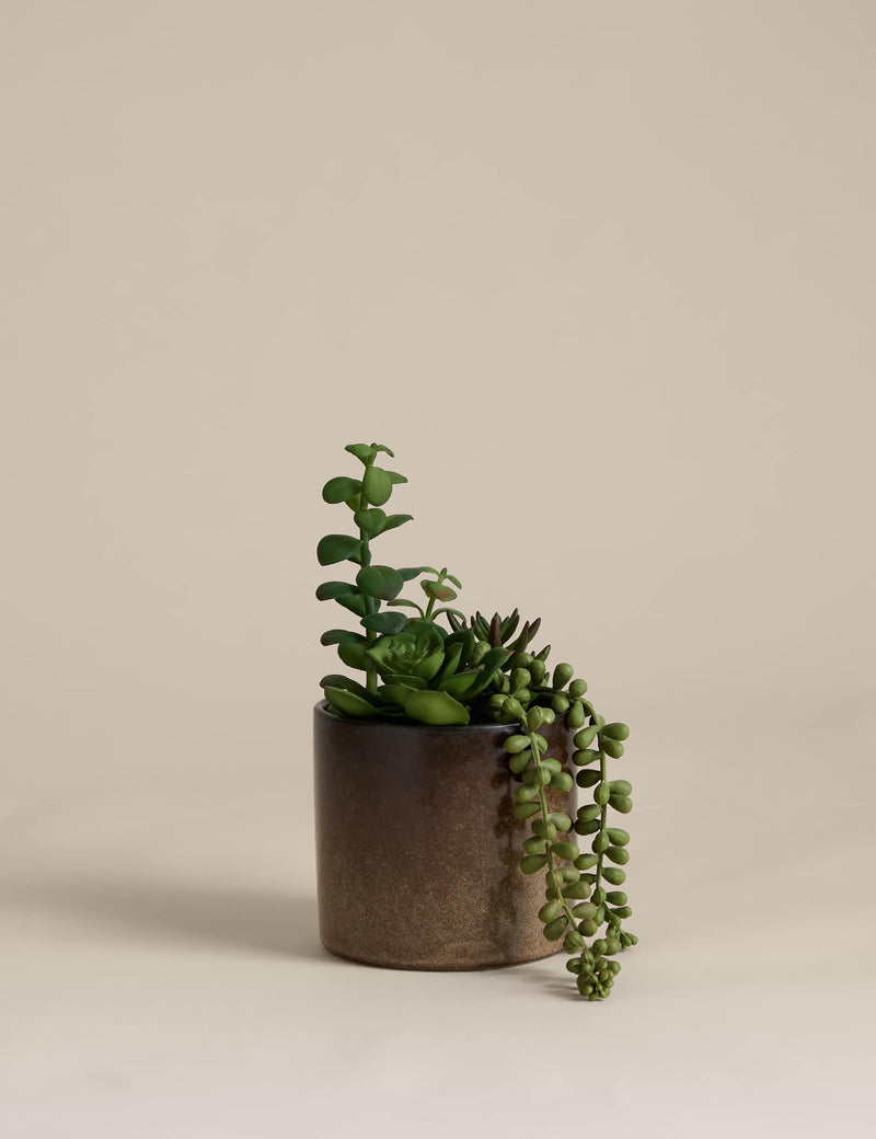 Artificial succulent collection in reactive glaze pot, British brand
