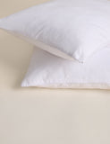 Firm cotton everyday pillows set of 2, imported from the UK