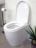 Showerdrape white D-shape soft close toilet seat with quick release (British brand)