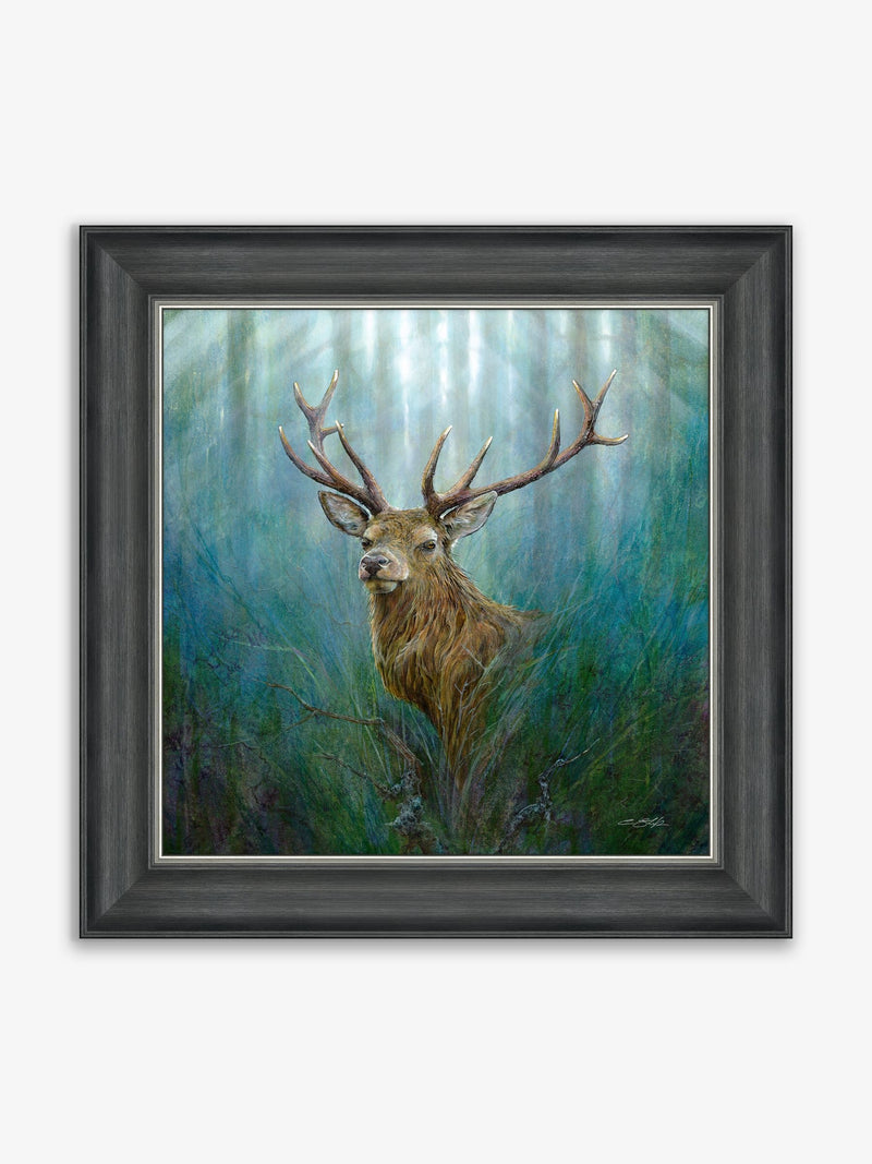 Artko framed art grey red deer stag 93cm x 93cm - British product
