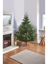 Next Premier Decorations Green Glenshee Spruce PE/PVC Natural Look 6ft Christmas Tree- Buy online at McGrocer