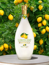 Next LeBonVin Bottega Cream Limoncino Liqueur 500ml- Buy online at McGrocer