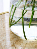 Lipsy Clear Gold Trim Glass Vase 25cm height, UK version