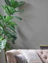Next Laura Ashley Grey Matt Emulsion Paint Tester 100ml- Buy online at McGrocer