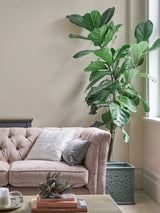 Next Laura Ashley Natural Matt Emulsion Paint 100ml Tester- Buy online at McGrocer