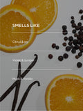Edition perfume gift set 100ml 10ml - British product