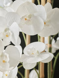 White real touch artificial extra large floor standing orchid plant (British brand)