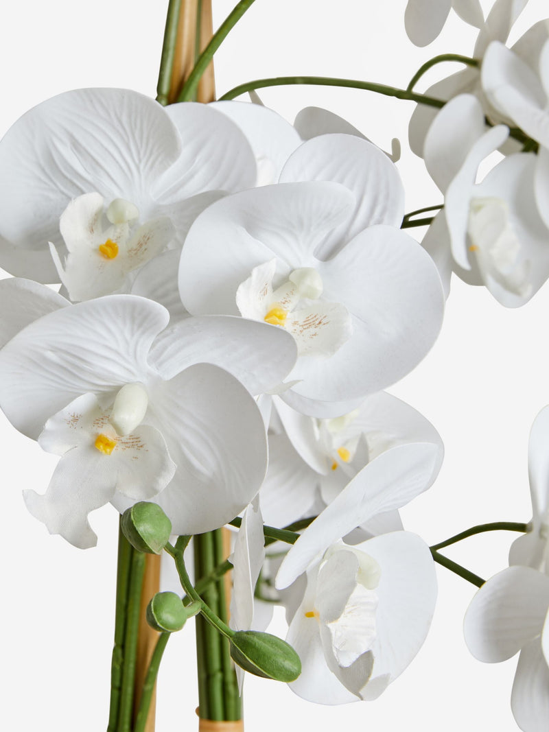 White real touch artificial extra large floor standing orchid plant (British brand)