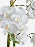White real touch artificial extra large floor standing orchid plant (British brand)