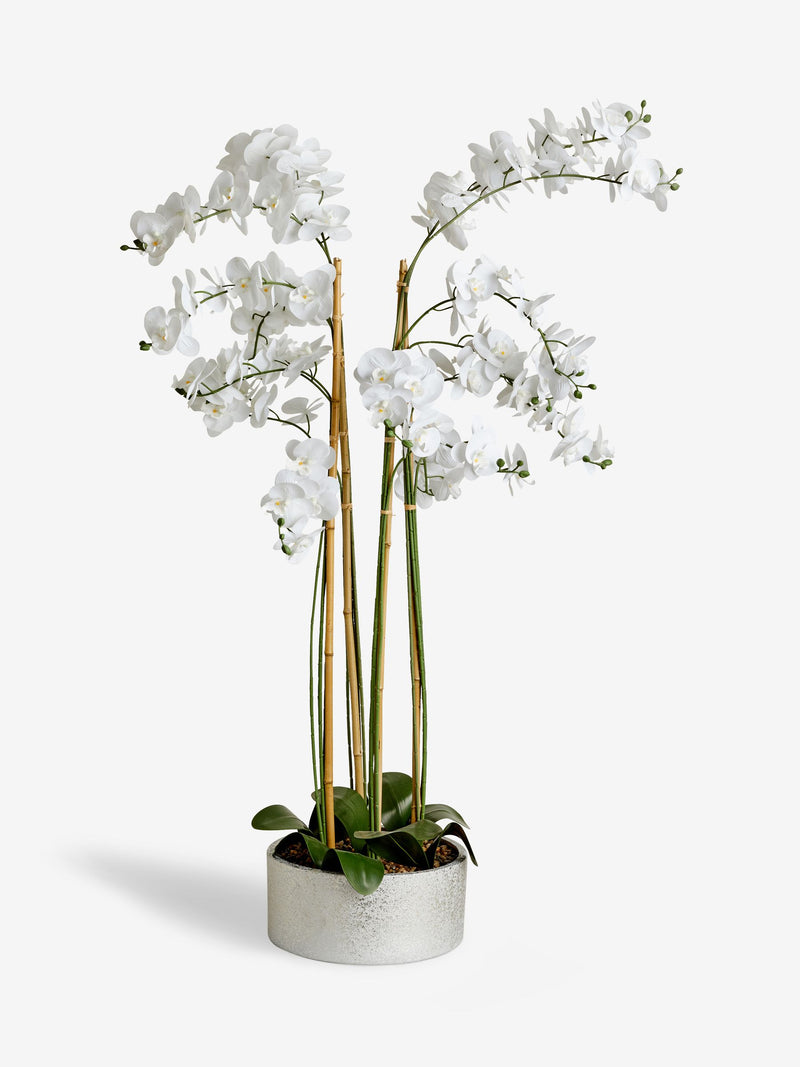 White real touch artificial extra large floor standing orchid plant (British brand)
