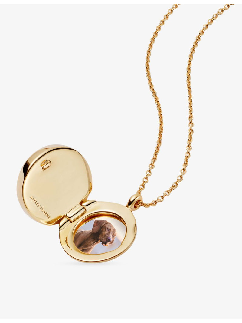 Astley Clarke Polaris locket necklace malachite white sapphire (British brand)