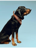 HAY printed cotton dog scarf 55cm, imported from the UK