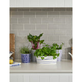 Royal Doulton 1815 Pacific trough porcelain planter - British product