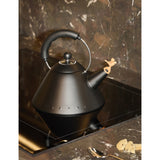 Alessi induction hob kettle 2L (British brand)