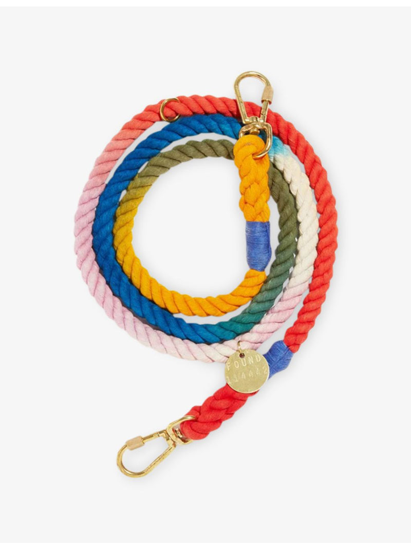 Found My Animal Henri Ombre small dog lead - British product