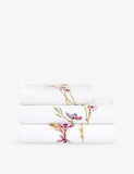 Gaura Blanc Cotton Bath Sheet - Hand Towel