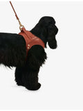 Jala vegan-leather dog harness by Cafide, imported from the UK