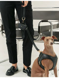 Jala vegan leather dog leash 140cm (British brand)