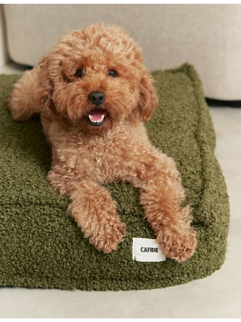 Cafide Cuadra fleece dog bed 120x90cm (British brand)