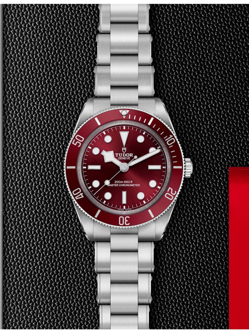 Tudor Black Bay 58 automatic watch 39mm (British brand)