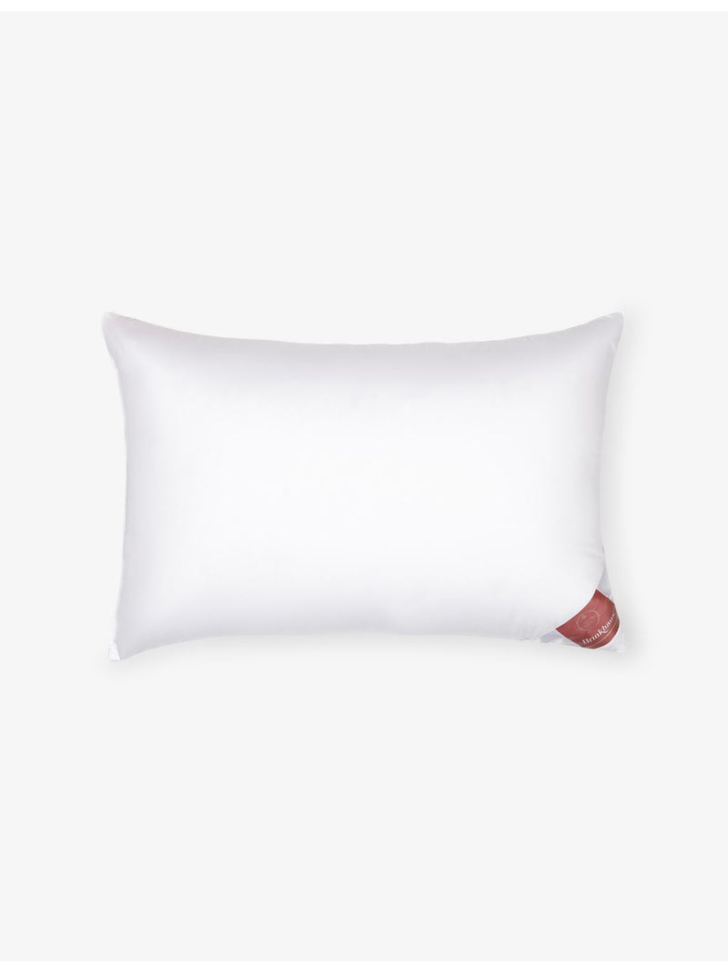 Brinkhaus goose down pillow, soft and firm sides - British product