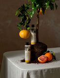 Cowshed Replenish Grapefruit body lotion 300ml, imported from the UK