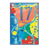 Superdrug Simon Elvin Juvenile Boy 17th Birthday Card (Pack of 6)- Buy online at McGrocer