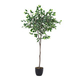 Superdrug Livingandhome Artificial Ficus Tree Decorative Plant 150cm- Buy online at McGrocer