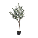 Superdrug Livingandhome Artificial Olive Tree Decorative Plant 155cm- Buy online at McGrocer