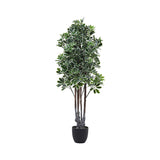 Superdrug Livingandhome Artificial Schefflera Arboricola Tree in Pot- Buy online at McGrocer