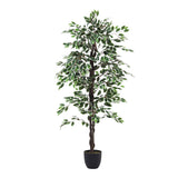 Superdrug Livingandhome Artificial Ficus Tree Decorative Plant 180cm- Buy online at McGrocer