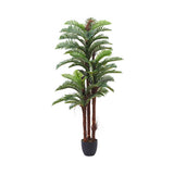 Superdrug Livingandhome Artificial Fern Decorative Plant in Planter- Buy online at McGrocer