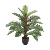 Superdrug Livingandhome Artificial Phoenix Fern Tree in Pot- Buy online at McGrocer