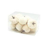 Heaven Sends Halloween Set of 12 Velvet Cream Pumpkin