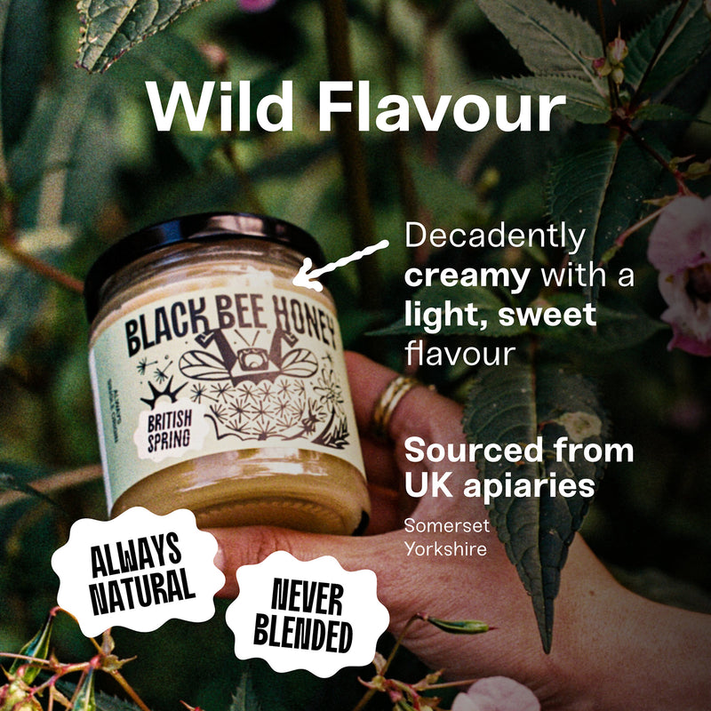 Black Bee British Spring Honey 227g