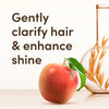 Aveeno Haircare Clarify And Shine Apple Cider Vinegar Shampoo 300ml