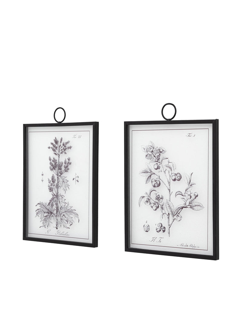 Gallery Direct petiole framed art set, imported from the UK