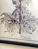 Gallery Direct petiole framed art set, imported from the UK