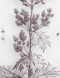 Gallery Direct petiole framed art set, imported from the UK