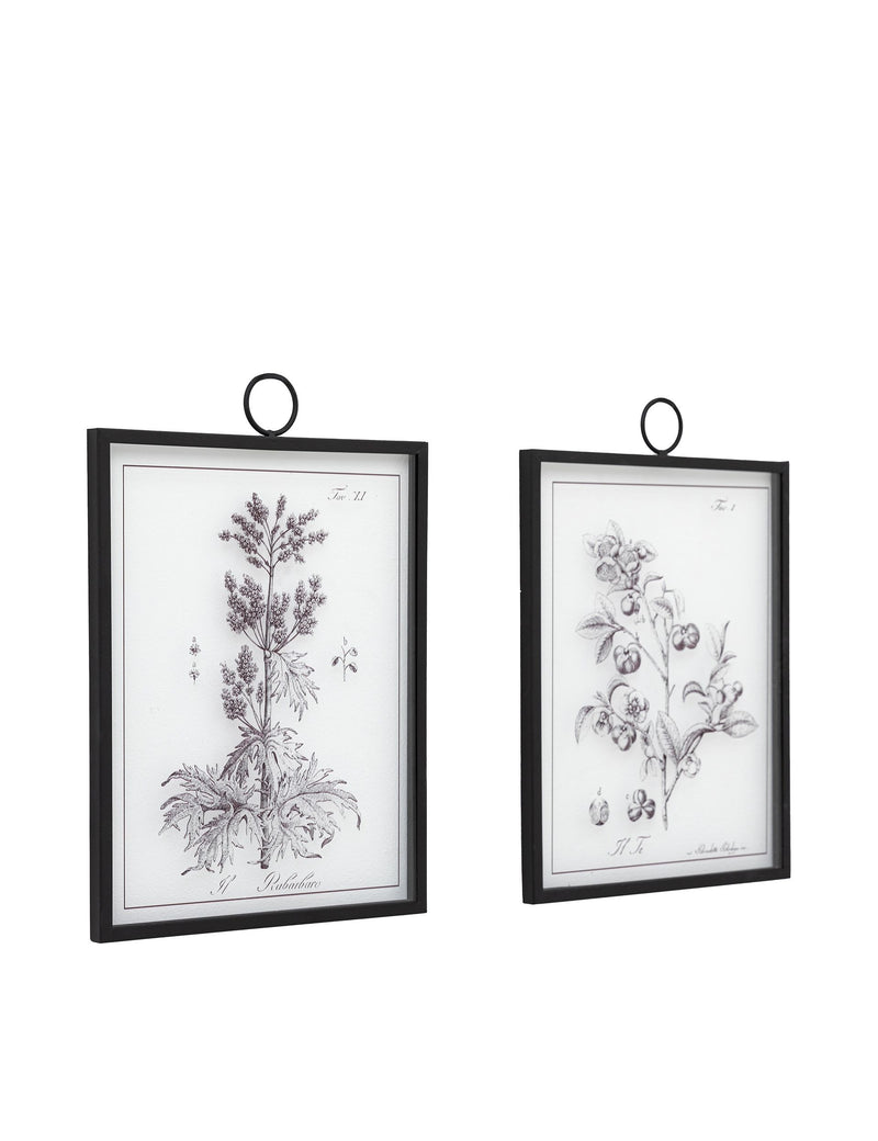 Gallery Direct petiole framed art set, imported from the UK