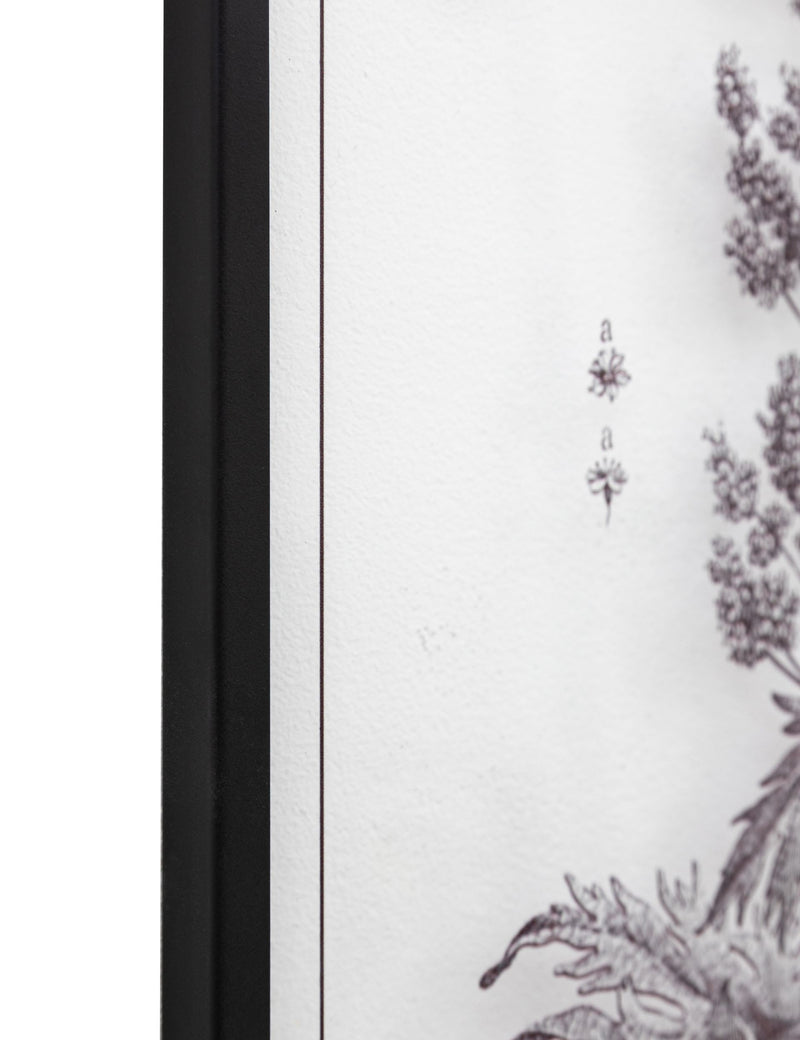 Gallery Direct petiole framed art set, imported from the UK