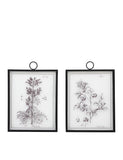 Gallery Direct petiole framed art set, imported from the UK
